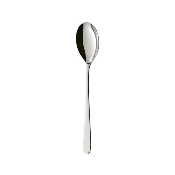 Chaving Dish Spoon